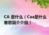 CA 是什么（Caa是什么意思简介介绍）
