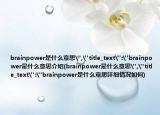 brainpower是什么意思