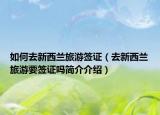 如何去新西兰旅游签证（去新西兰旅游要签证吗简介介绍）