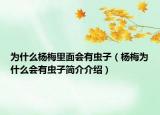 为什么杨梅里面会有虫子（杨梅为什么会有虫子简介介绍）