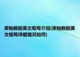 原始数据英文缩写介绍(原始数据英文缩写详细情况如何)