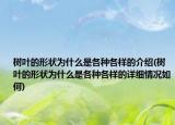 树叶的形状为什么是各种各样的介绍(树叶的形状为什么是各种各样的详细情况如何)