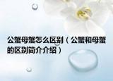 公蟹母蟹怎么区别（公蟹和母蟹的区别简介介绍）