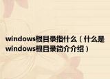 windows根目录指什么（什么是windows根目录简介介绍）