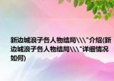 新边城浪子各人物结局\