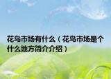 花鸟市场有什么（花鸟市场是个什么地方简介介绍）