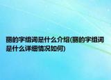 丽的字组词是什么介绍(丽的字组词是什么详细情况如何)