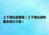 上下消化道是指（上下消化道的概念简介介绍）