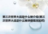 第三次世界大战是什么梗介绍(第三次世界大战是什么梗详细情况如何)