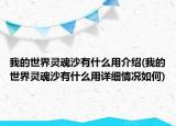 我的世界灵魂沙有什么用介绍(我的世界灵魂沙有什么用详细情况如何)