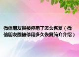 微信朋友圈被停用了怎么恢复（微信朋友圈被停用多久恢复简介介绍）