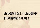 dsp是什么?（dsp是干什么的简介介绍）