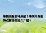 原核细胞的特点是（原核细胞的特点有哪些简介介绍）