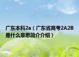 广东本科2a（广东省高考2A2B是什么意思简介介绍）