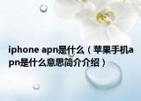 iphone apn是什么（苹果手机apn是什么意思简介介绍）