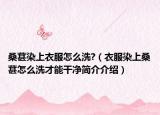 桑葚染上衣服怎么洗?（衣服染上桑葚怎么洗才能干净简介介绍）