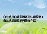 白兰地是白葡萄酒还是红葡萄酒（白兰地是葡萄酒吗简介介绍）