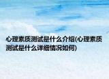 心理素质测试是什么介绍(心理素质测试是什么详细情况如何)