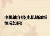 电机轴介绍(电机轴详细情况如何)