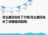 怎么做汉化补丁介绍(怎么做汉化补丁详细情况如何)