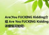 Are(You FUCKING Kidding介绍 Are You FUCKING Kidding详细情况如何)