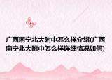 广西南宁北大附中怎么样介绍(广西南宁北大附中怎么样详细情况如何)