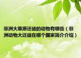 非洲大草原迁徙的动物有哪些（非洲动物大迁徙在哪个国家简介介绍）