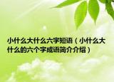小什么大什么六字短语（小什么大什么的六个字成语简介介绍）