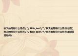 秋天的雨有什么特点