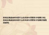 美利达挑战者800是什么技术的车架要多少钱啊介绍(美利达挑战者800是什么技术的车架要多少钱啊详细情况如何)