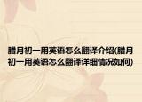 腊月初一用英语怎么翻译介绍(腊月初一用英语怎么翻译详细情况如何)