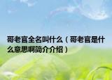 哥老官全名叫什么（哥老官是什么意思啊简介介绍）