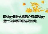 网络gy是什么意思介绍(网络gy是什么意思详细情况如何)