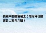 我眼中的魏晋名士（如何评价魏晋名士简介介绍）