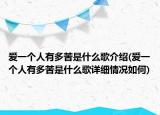 爱一个人有多苦是什么歌介绍(爱一个人有多苦是什么歌详细情况如何)