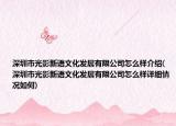 深圳市光影新语文化发展有限公司怎么样介绍(深圳市光影新语文化发展有限公司怎么样详细情况如何)