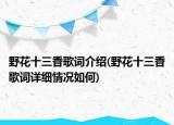 野花十三香歌词介绍(野花十三香歌词详细情况如何)