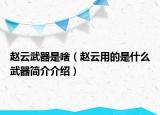 赵云武器是啥（赵云用的是什么武器简介介绍）