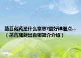 菡萏葳蕤是什么意思?最好详细点...（菡萏葳蕤出自哪简介介绍）
