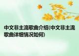 中文非主流歌曲介绍(中文非主流歌曲详细情况如何)