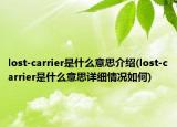 lost-carrier是什么意思介绍(lost-carrier是什么意思详细情况如何)