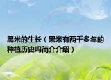 黑米的生长（黑米有两千多年的种植历史吗简介介绍）