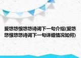 爱悠悠恨悠悠诗词下一句介绍(爱悠悠恨悠悠诗词下一句详细情况如何)