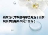 山东现代学院都有哪些专业（山东现代学院是几本简介介绍）