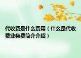 代收费是什么费用（什么是代收费业务费简介介绍）