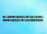 猪八戒娶媳妇是西游记第几回介绍(猪八戒娶媳妇是西游记第几回详细情况如何)