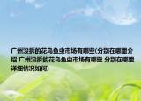 广州没拆的花鸟鱼虫市场有哪些(分别在哪里介绍 广州没拆的花鸟鱼虫市场有哪些 分别在哪里详细情况如何)