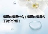 梅雨的梅是什么（梅雨的梅得名于简介介绍）