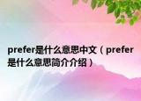 prefer是什么意思中文（prefer是什么意思简介介绍）