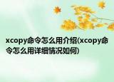 xcopy命令怎么用介绍(xcopy命令怎么用详细情况如何)